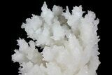 Sparkling Cave Calcite (Aragonite) Formation - Potosi Mine, Mexico #174470-4